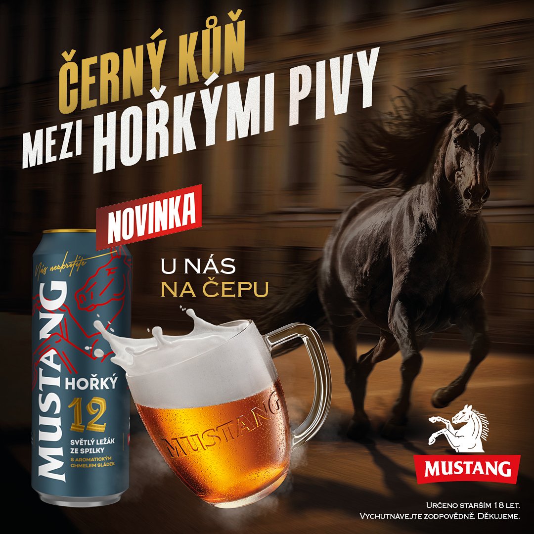 Obrázek č. 49